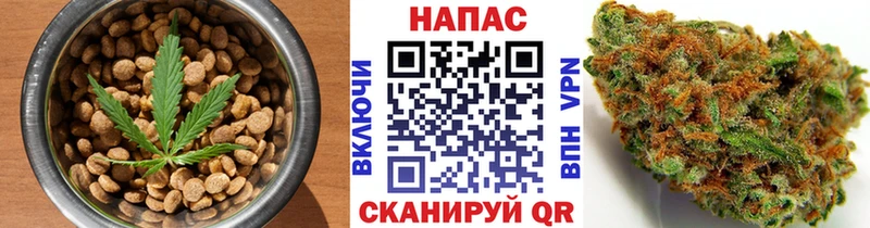 как найти наркотики  Кировград  Cannafood марихуана 