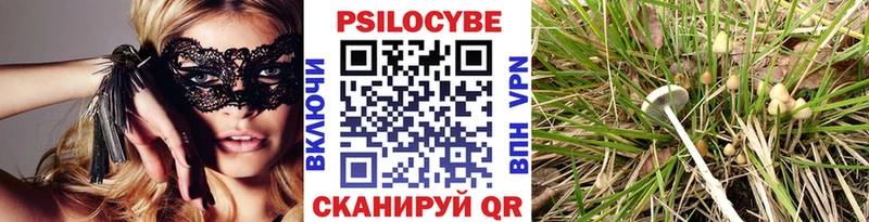 это Telegram  цены наркотик  Кировград  Галлюциногенные грибы MAGIC MUSHROOMS  mega онион 
