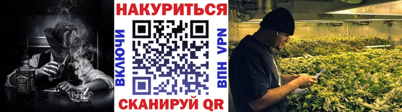 продажа наркотиков  Кировград  Шишки марихуана сатива 